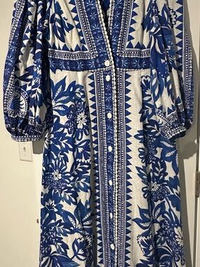 FARM Rio Blue and White Tapestry Floral Button-Front Maxi Dress